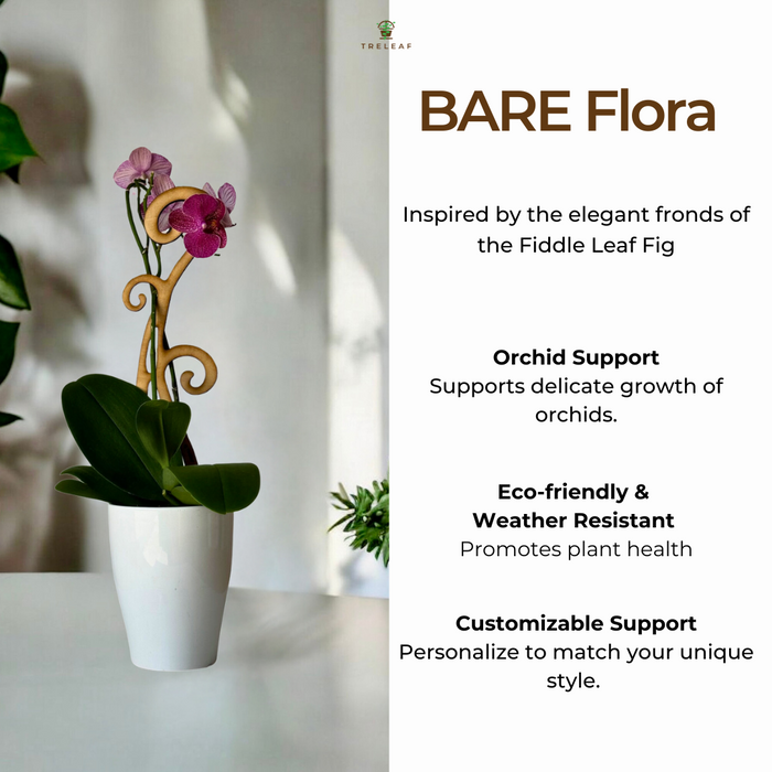 BARE™ Flora™ - Customizable wooden plant support - Perfect for Orchids