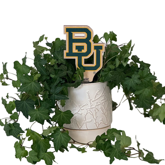 Baylor BU Color Plant Stake