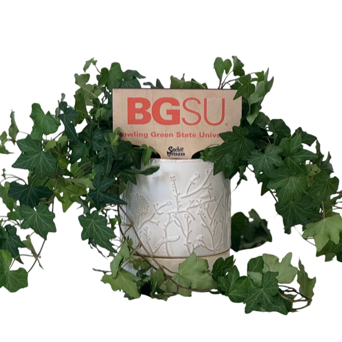 Bowling Green BGSU Color Plant Stake
