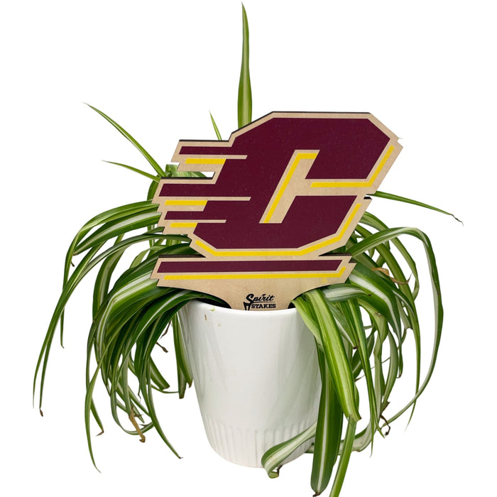 Central Michigan Logo Color Plant Stake