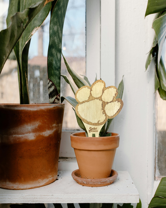 Clemson University Spirit Stakes