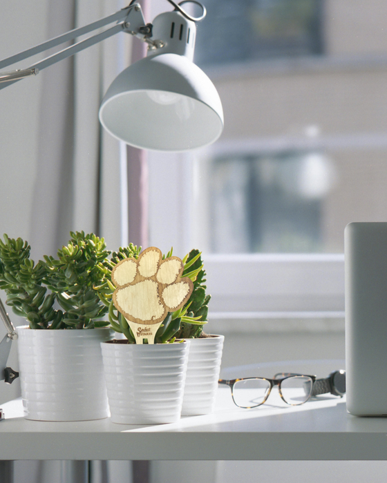 Clemson University Spirit Stakes