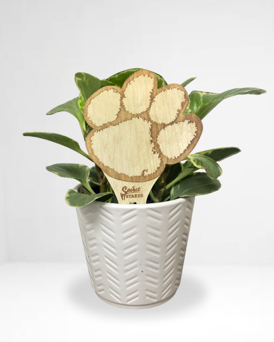 Clemson University Spirit Stakes