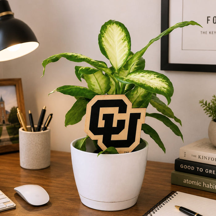 University of Colorado CU Color Plant Stake