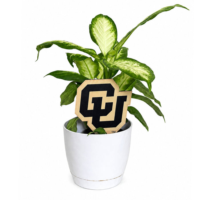 University of Colorado CU Color Plant Stake