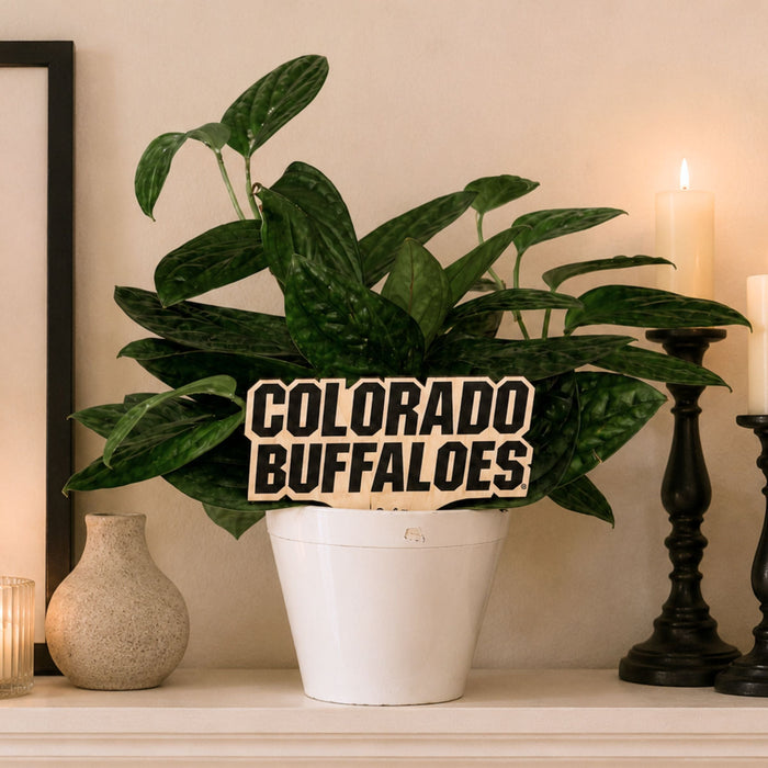 University of Colorado Color Plant Stake