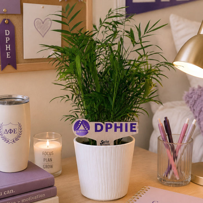 Delta Phi Epsilon Logo Color Plant Stake