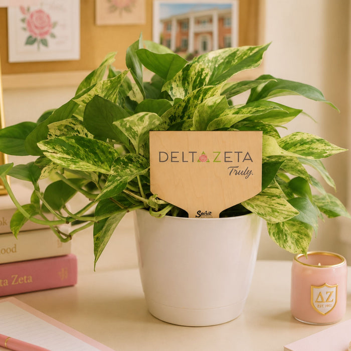 Delta Zeta Sign Color Plant Stake