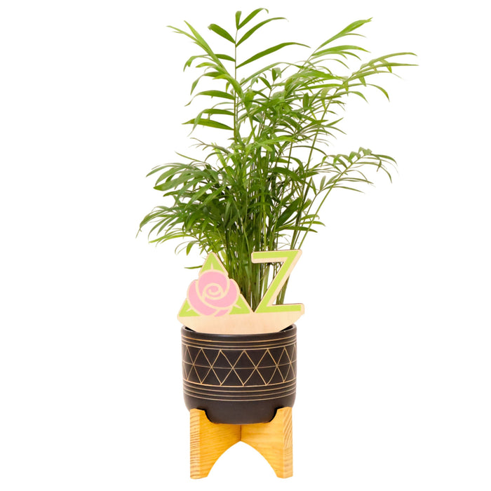 Delta Zeta Logo Color Plant Stake