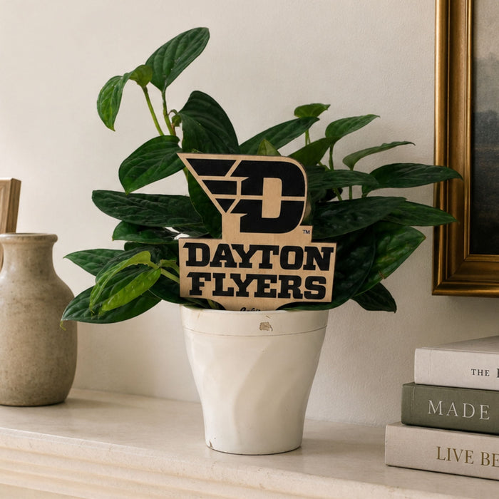 University of Dayton Color Plant Stake
