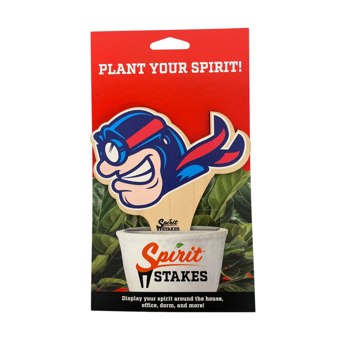 Dayton Flyer Scarf Color Plant Stake