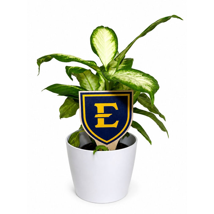 East Tennessee State University Shield Color Plant Stake