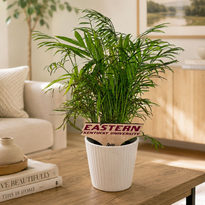 Eastern Kentucky University Color Plant Stake