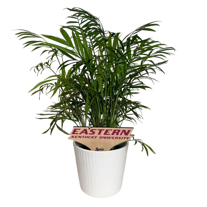 Eastern Kentucky University Color Plant Stake