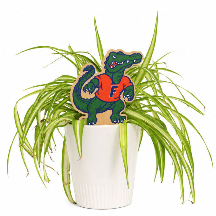 University of Florida Albert Color Plant Stake