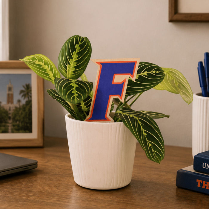 University of Florida Letter Color Plant Stake