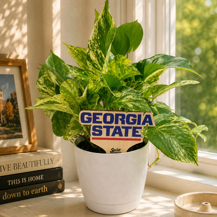 Georgia State Wordmark Color Plant Stake