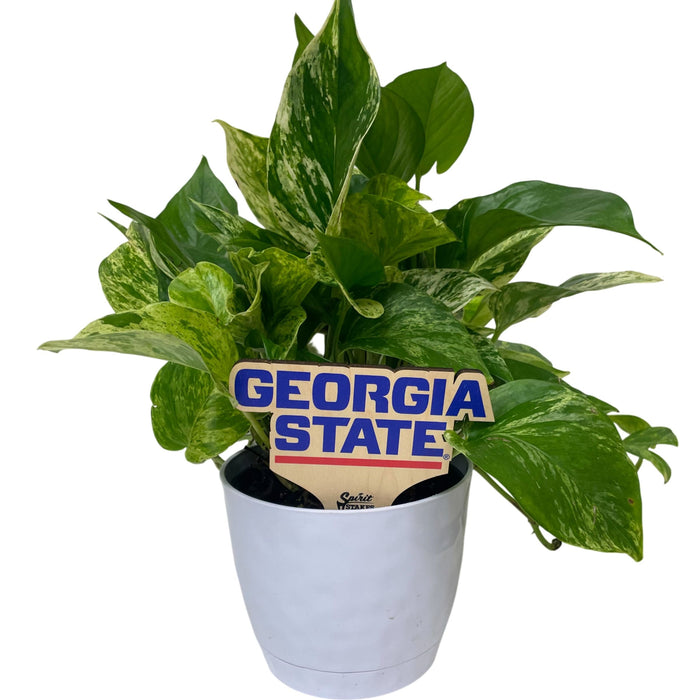 Georgia State Wordmark Color Plant Stake