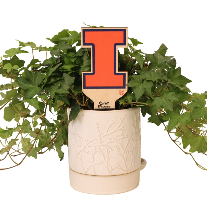 University of Illinois Block I Color Plant Stake