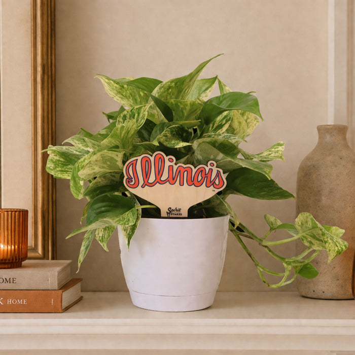 University of Illinois Script Color Plant Stake