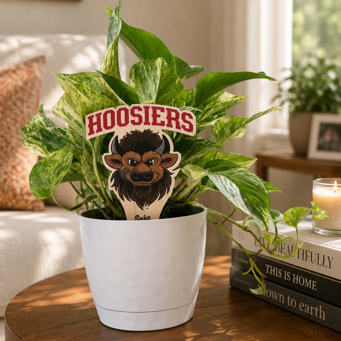 Indiana University Hoosier Color Plant Stake