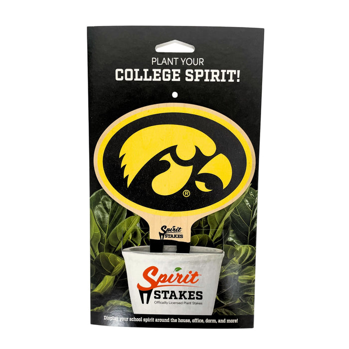Iowa Hawkeye Color Plant Stake