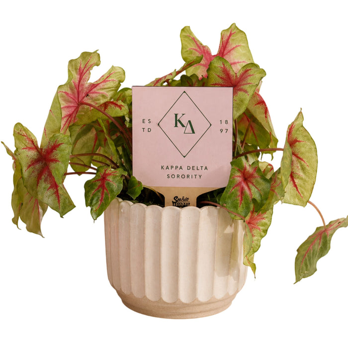 Kappa Delta Sorority Color Plant Stake