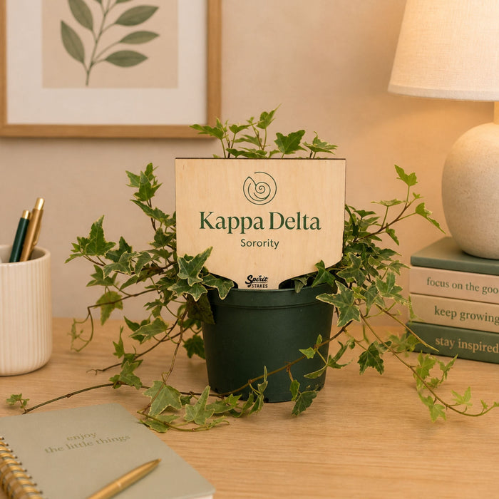 Kappa Delta Shell Color Plant Stake
