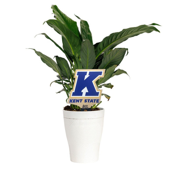 Kent State K Emblem Color Plant Stake