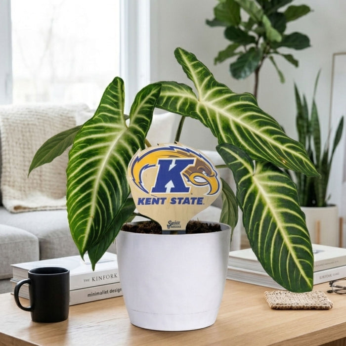 Kent State Golden Eagle Color Plant Stake