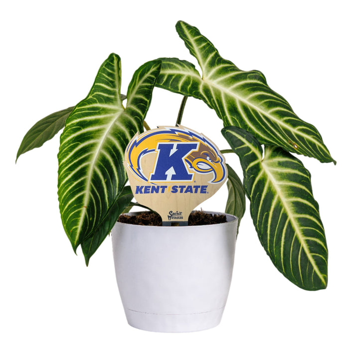 Kent State Golden Eagle Color Plant Stake