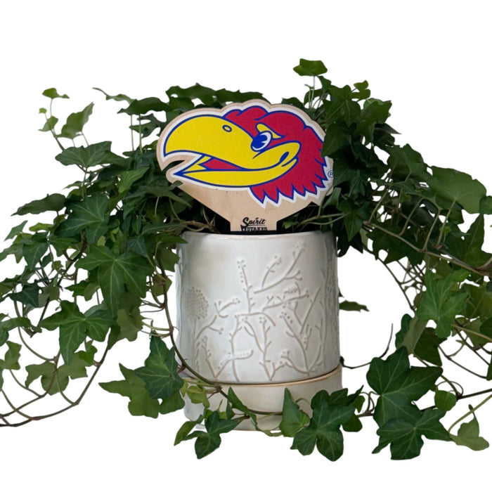 University of Kansas Jayhawk Head Color Plant Stake