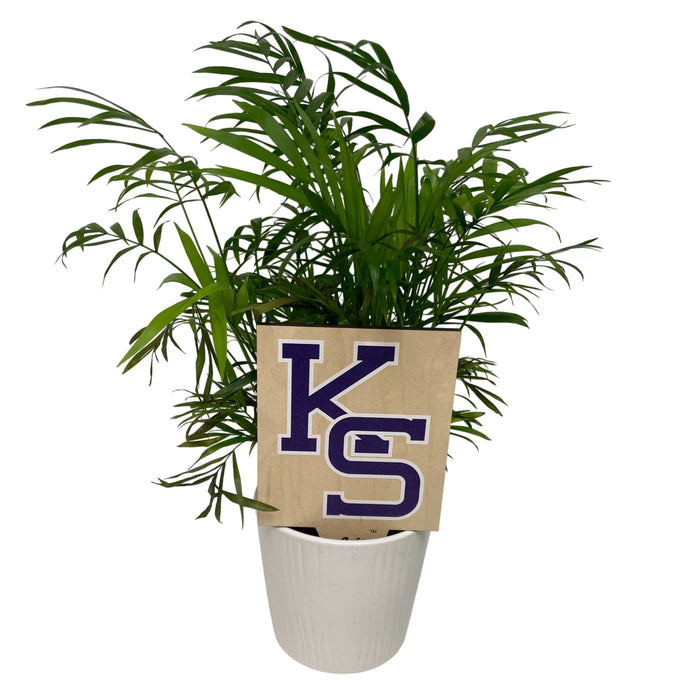 Kansas State University KS Color Plant Stake