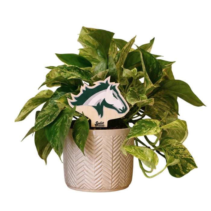 Kennesaw Mountain High School Color Plant Stake