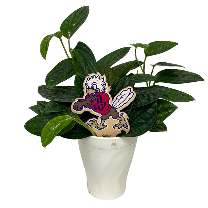 Liberty University Sparky Color Plant Stake