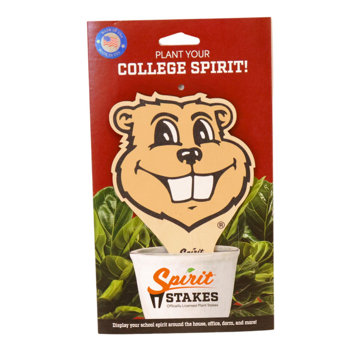 University of Minnesota Gopher Head Color Plant Stake