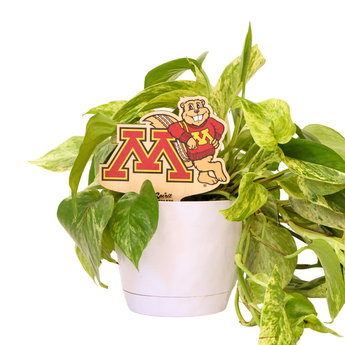 Minnesota Leaning Goldy Color Plant Stake