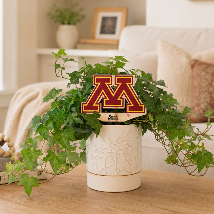 University of Minnesota M Color Plant Stake