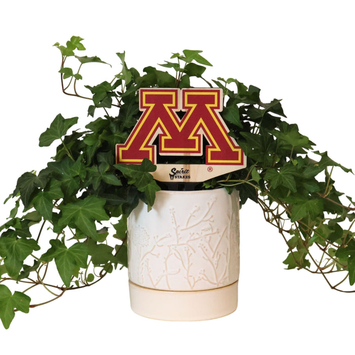 University of Minnesota M Color Plant Stake