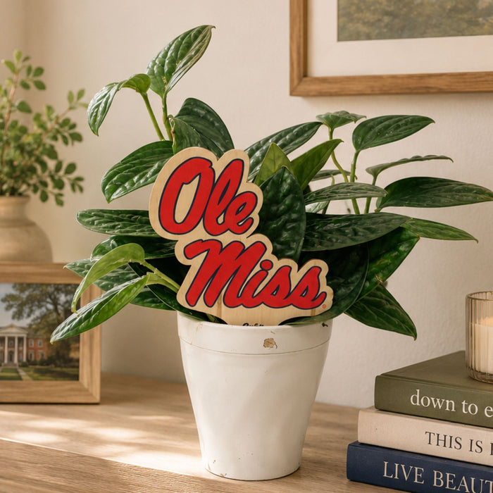 University of Mississippi Ole Miss Plant Stake