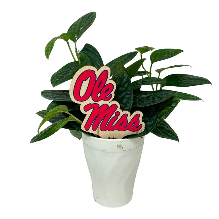 University of Mississippi Ole Miss Plant Stake