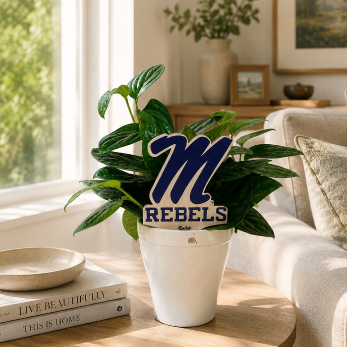 University of Mississippi Rebels Color Plant Stake
