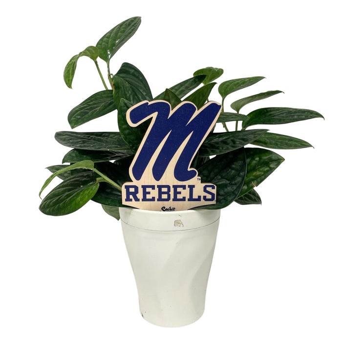 University of Mississippi Rebels Color Plant Stake