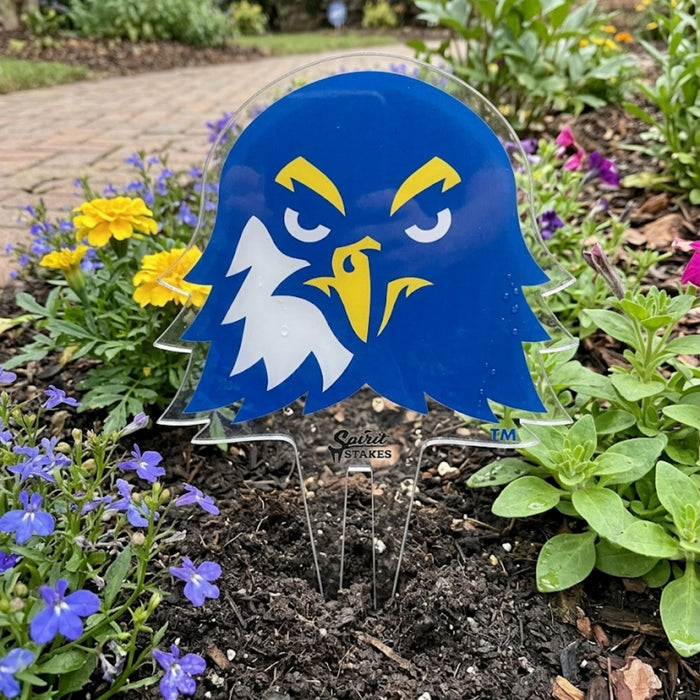 North Georgia Nighthawk Garden Sign