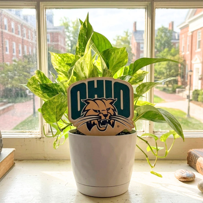 Ohio University Logo Color Plant Stake