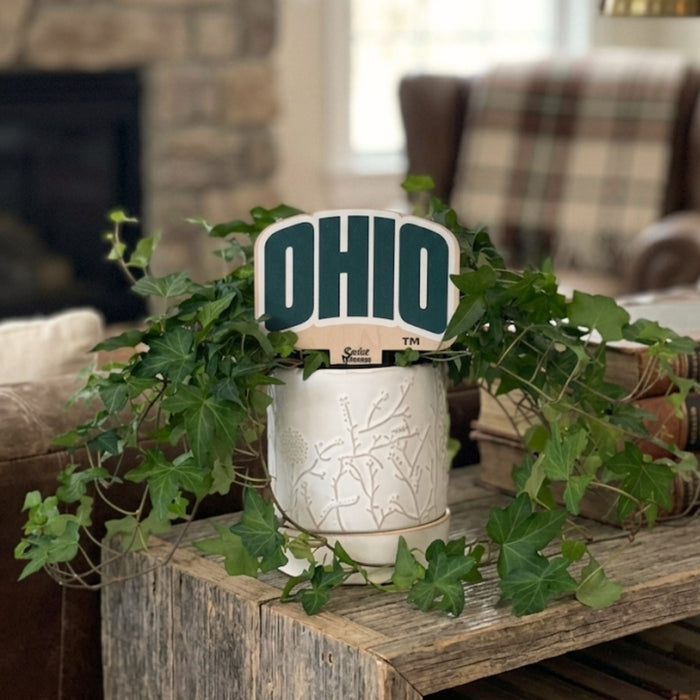 Ohio University 'Ohio' Color Plant Stake