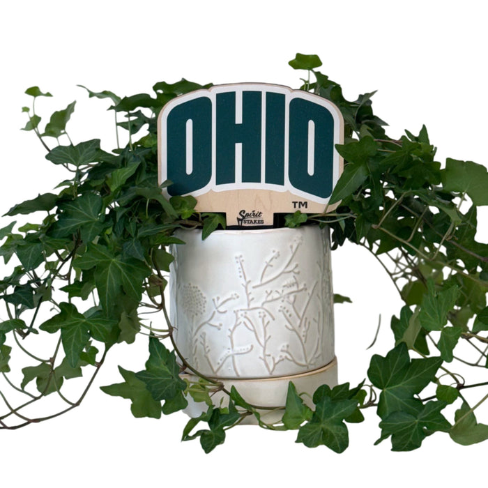 Ohio University 'Ohio' Color Plant Stake