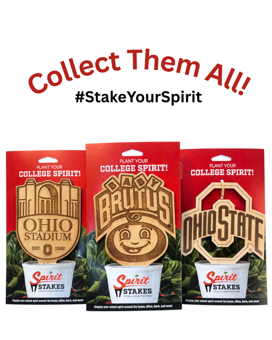 The Ohio State University Baby Brutus Natural Wood Plant Stake