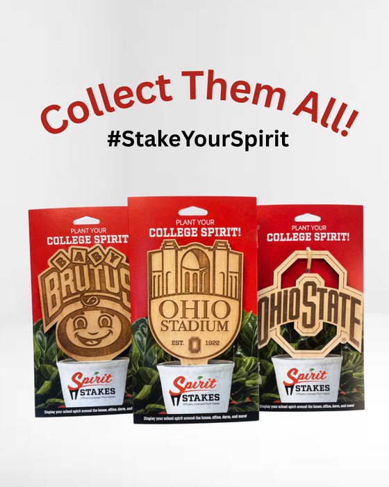 The Ohio State University Stadium Natural Wood Plant Stake