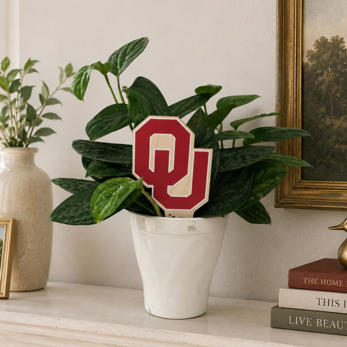 University of Oklahoma OU Color Plant Stake